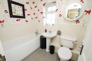 Photo 14- click for photo gallery